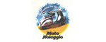 Nino Bongiorno moto noleggi